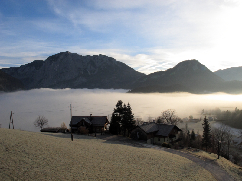 Morgennebel
